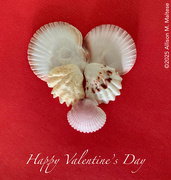 14th Feb 2025 - Happy Valentine's Day