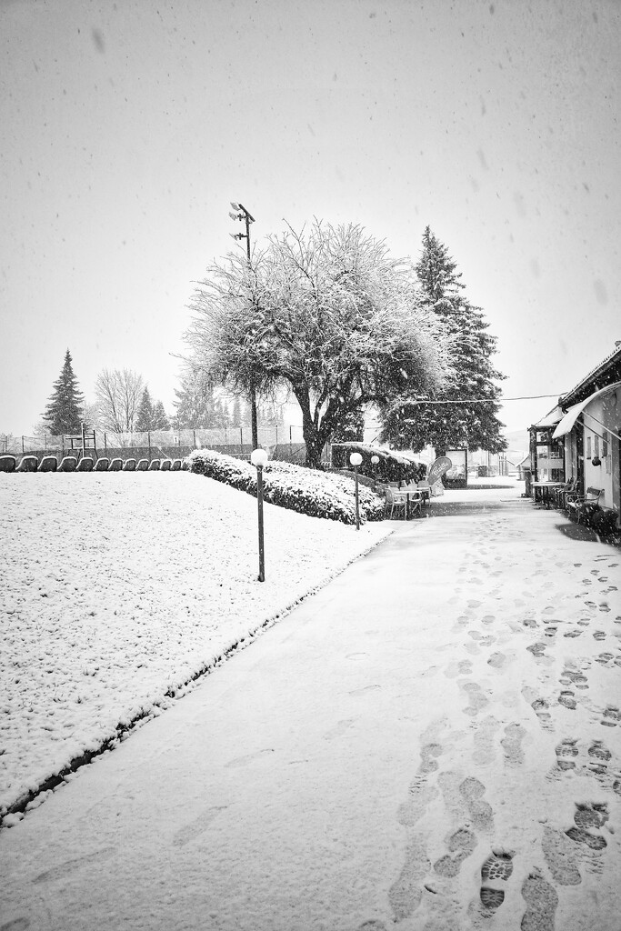 We finally got some snow today by duska