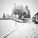 We finally got some snow today
