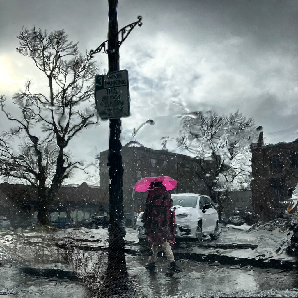 Flash of Red in the rain by joysabin