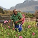 Flower Farmers by eleanor