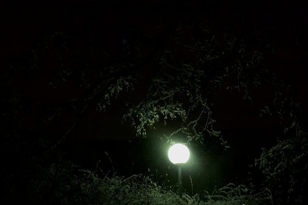 Eerie light on a snowy night by aleksandra_julia