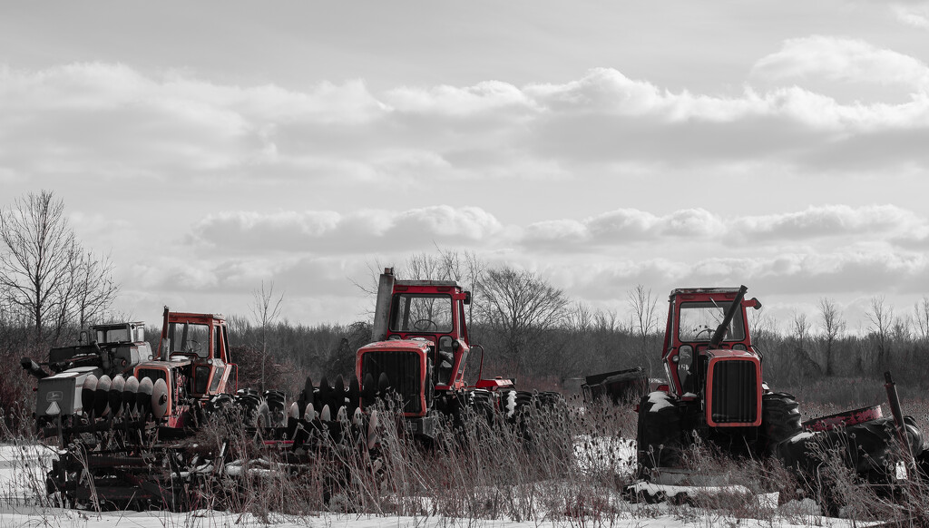 Red vintage tractors by darchibald