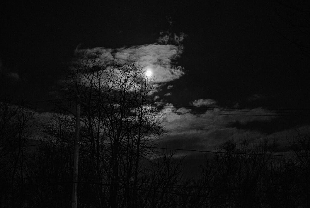 Morning Moon by darchibald