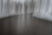14th Feb 2025 - Lethe