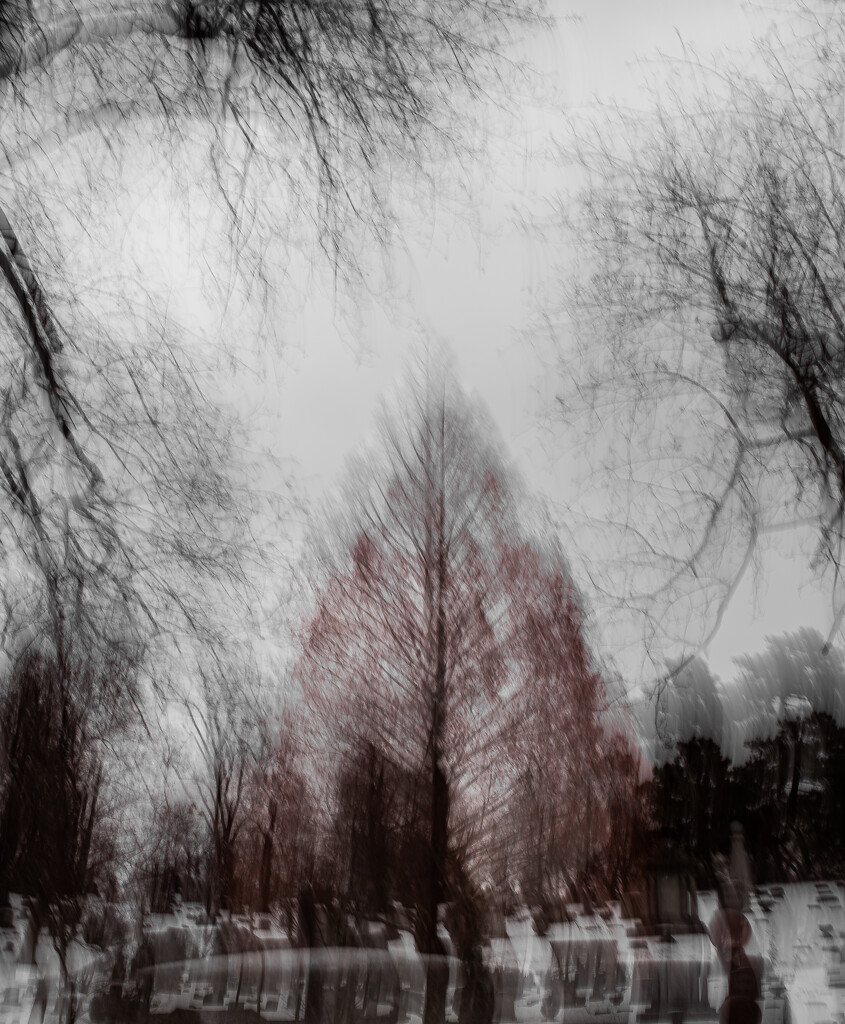 Life's flame slowly died by darchibald