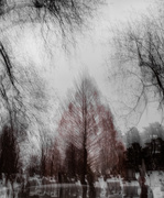 14th Feb 2025 - Life's flame slowly died