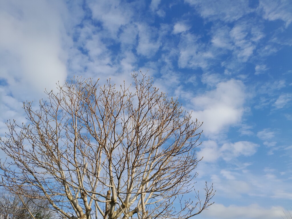 bright but cold by anniesue
