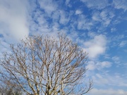14th Feb 2025 - bright but cold