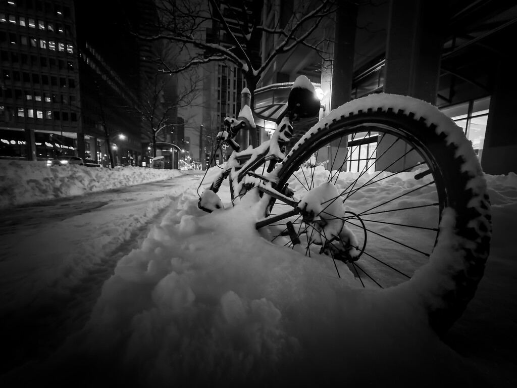 snow daze by northy