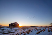 14th Feb 2025 - 8th line Barn Sunset