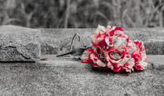 14th Feb 2025 - Love