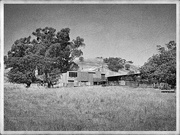 15th Feb 2025 - The old shearing shed
