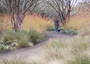 15th Feb 2025 - Winter Walk