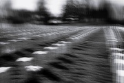 15th Feb 2025 - The Calling
