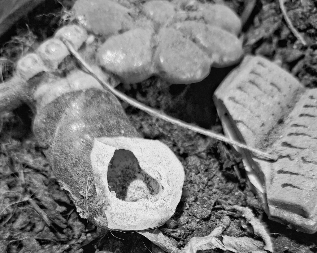 Broken garden ornament  by salza