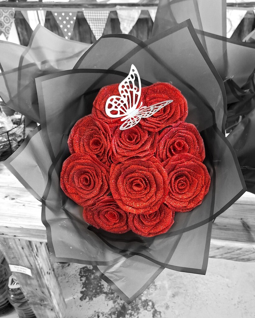 Flash of Red by salza