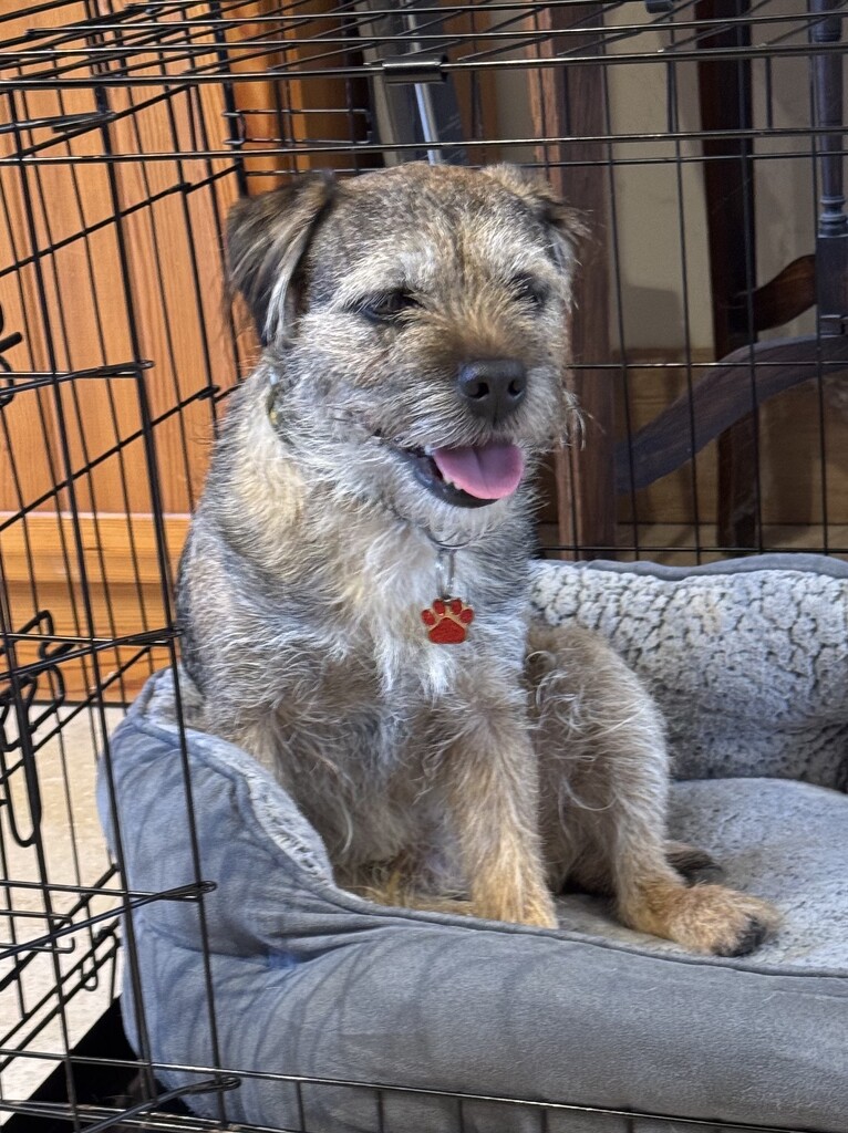I'm Happy to be Back at Grannie and Granddad's House by susiemc