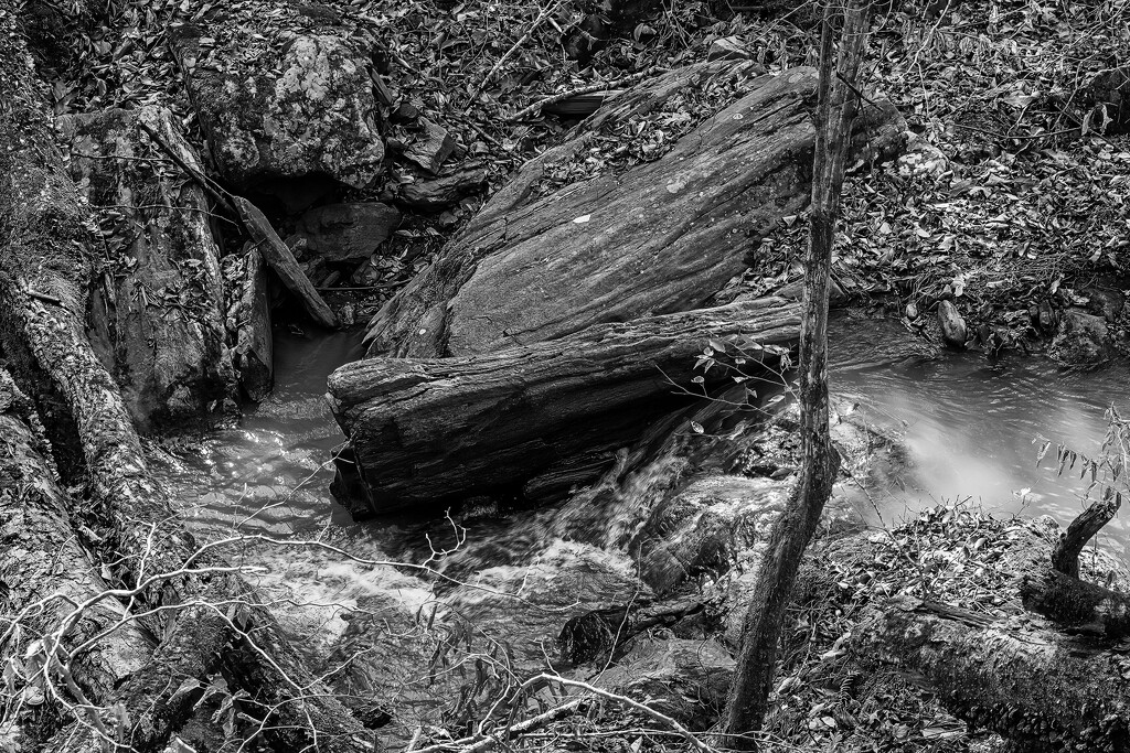 Sweetwater Creek by kvphoto