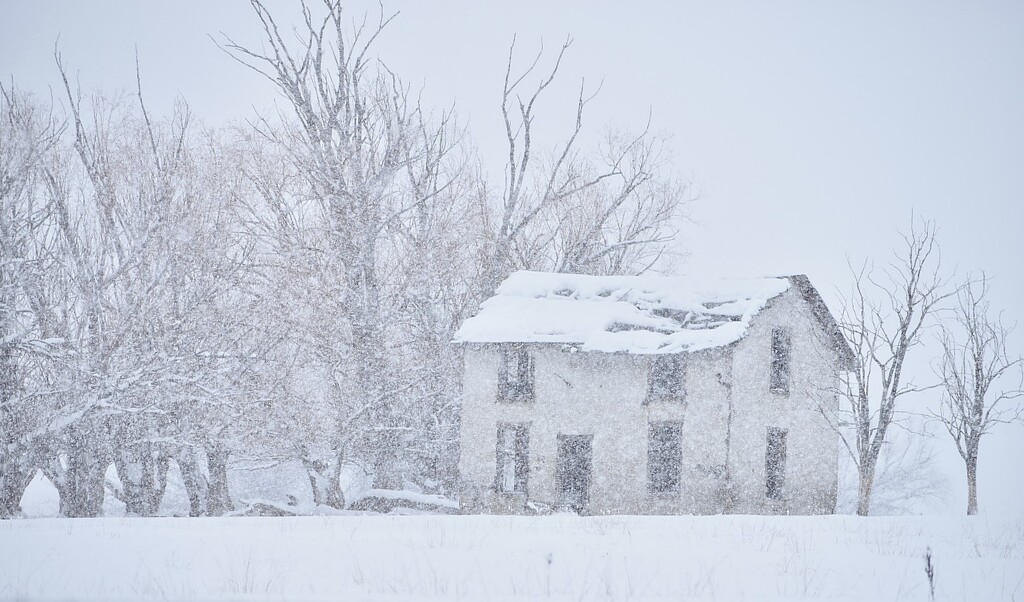 Snowbound by bjywamer
