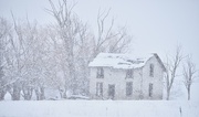 14th Feb 2025 - Snowbound