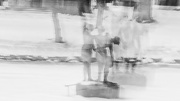 15th Feb 2025 - The Dance of the Graces
