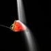 Strawberry  by scousesmurf