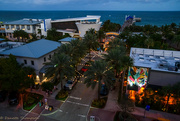 15th Feb 2025 - Local Hotspot