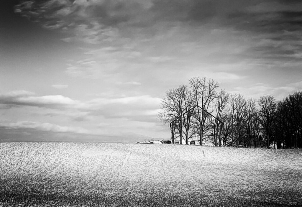 Winter Fields by pdulis