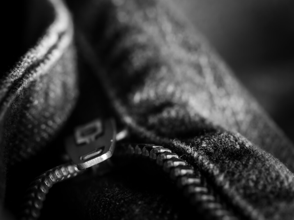 blue jeans by northy