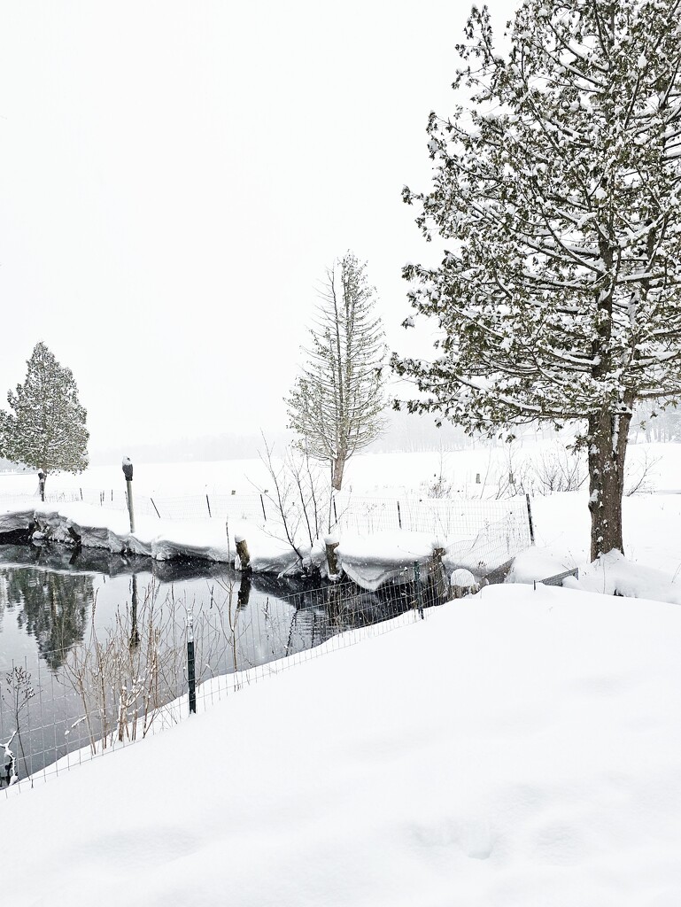 Pond corner by edorreandresen