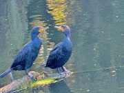 14th Feb 2025 - Conversing