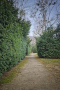 16th Feb 2025 - Morning walk