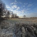 The Morning Walk by przemekm