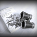 Binoculars and Bird book. by beryl