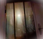 16th Feb 2025 - Dancing Under the Moon's Spell