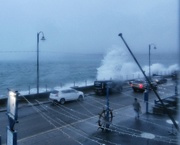 16th Feb 2025 - Splish-Splash.........