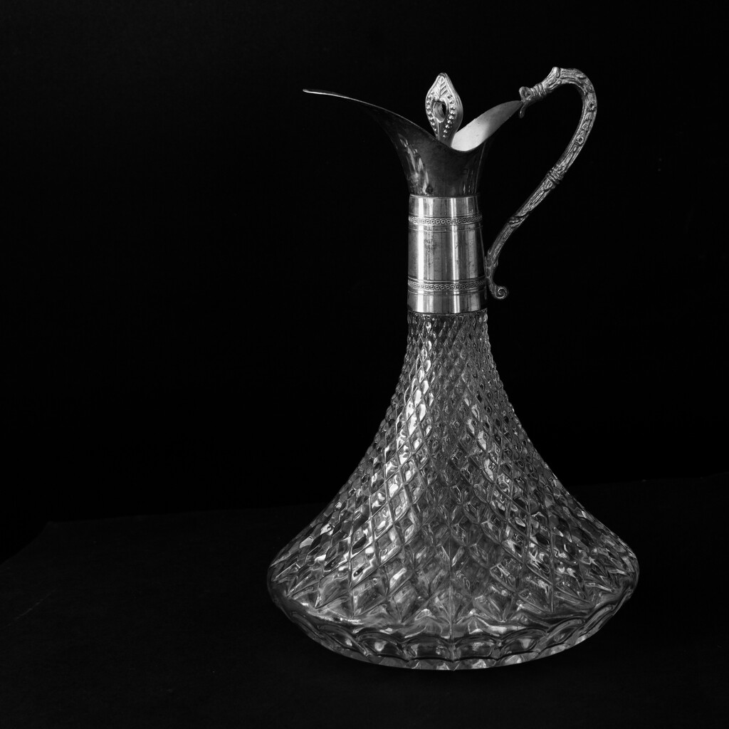 I Love The Shape DSC_5177 by merrelyn