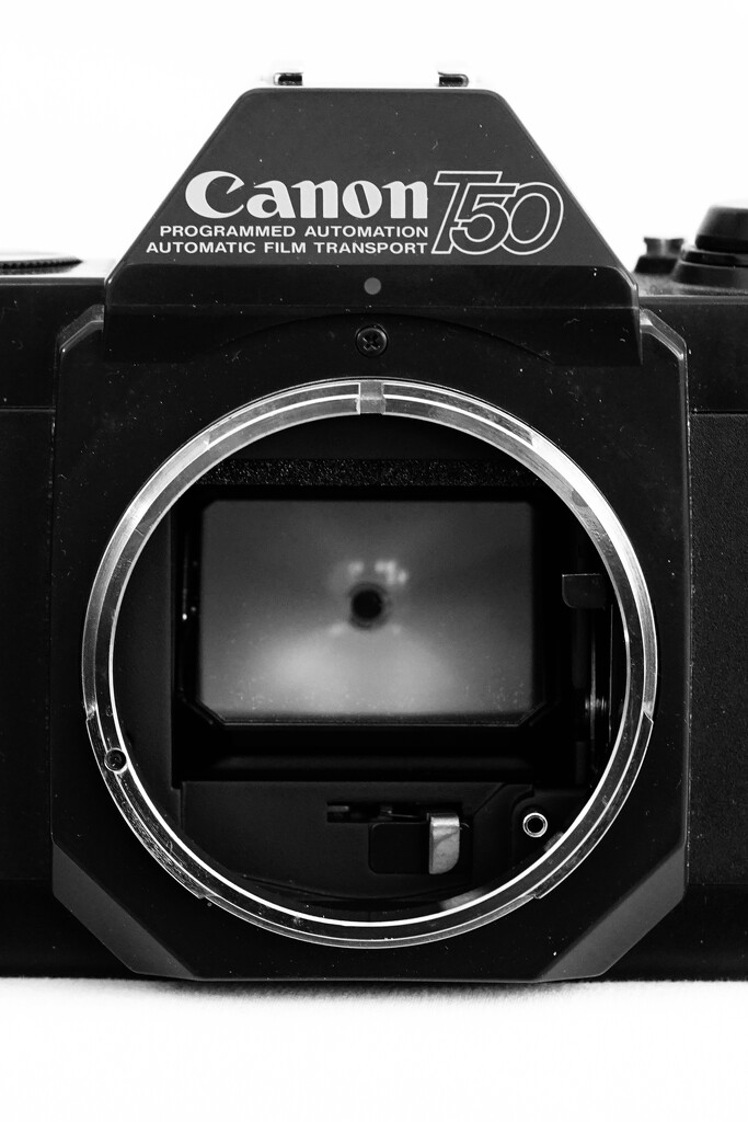 FOR 2025 #16 Week 3 - Vintage by phil_sandford
