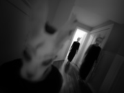 16th Feb 2025 - if you go chasing rabbits....