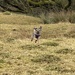 Reggie Having Fun by susiemc
