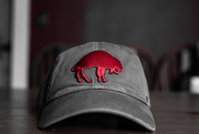 16th Feb 2025 - Vintage Bills logo