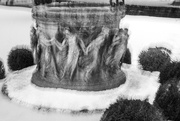 16th Feb 2025 - Dance of the Naiads