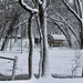 The magic  of a newly fallen snow brings out the beauty of the most mundane scene. by essiesue