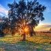 The land of the evening sun by laroque
