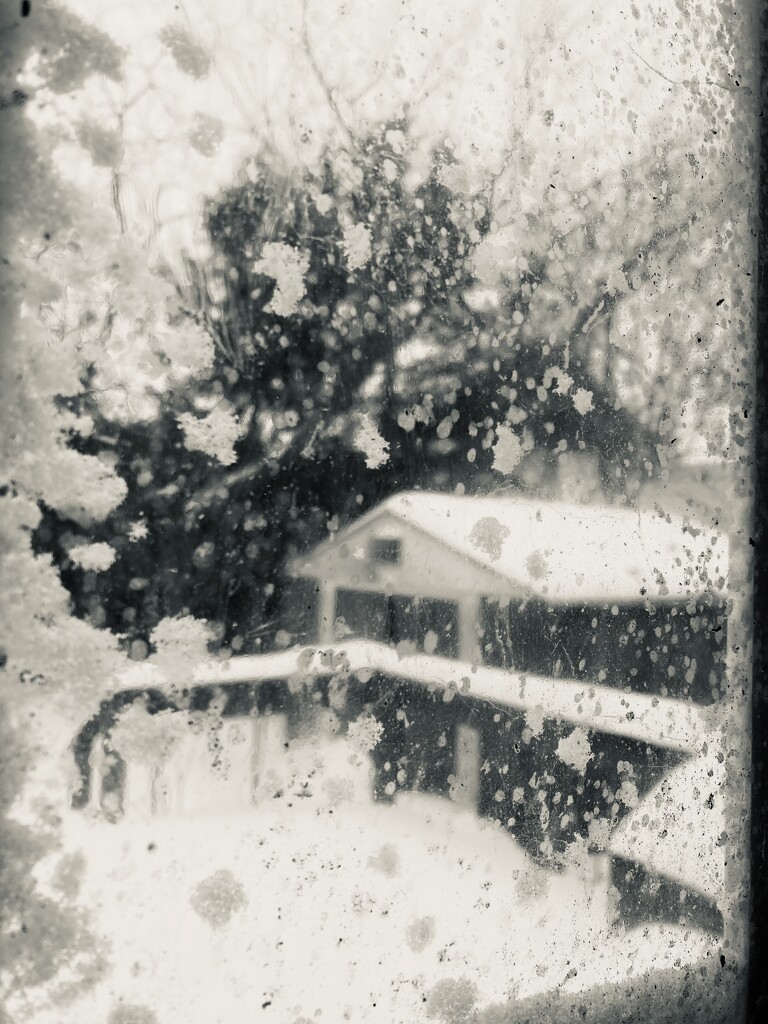 Still Snowing by spanishliz