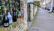 16th Feb 2025 - Drink 