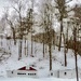Winter Storm
