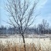 Snowy Scene
