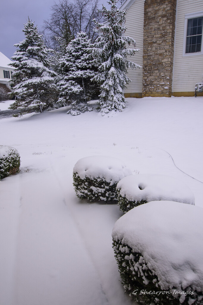 Some of the 4" of snow we got this morning, in less than 2 hours by ggshearron